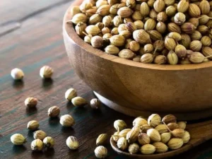 Coriander Seeds