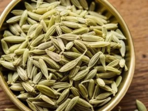 Fennel Seeds