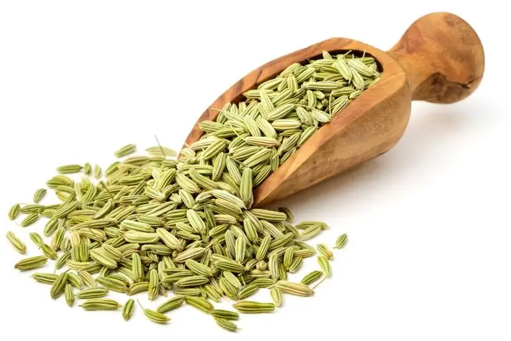 Fennel Seeds - Image 2